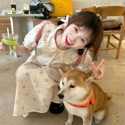 婚前一叮